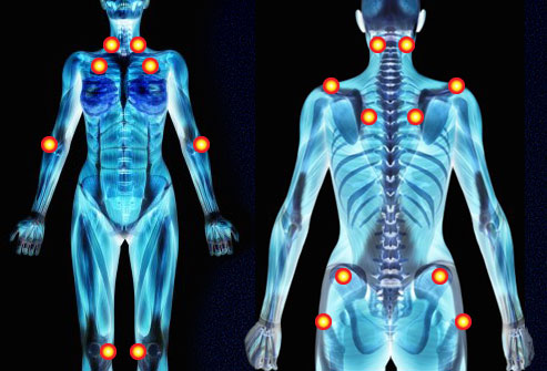 skeletal images