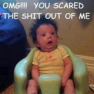 Funniest stuff on the internet