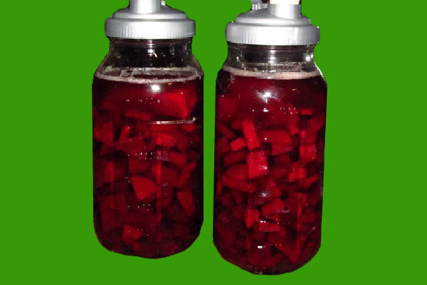 Kvas od cvekle. Recept